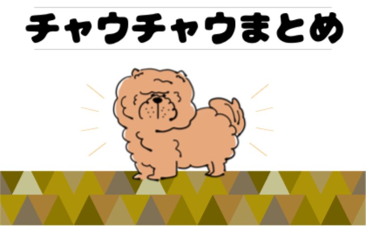 もふもふなチャウチャウ